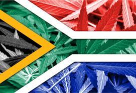 South Africa's Cannabis Industry